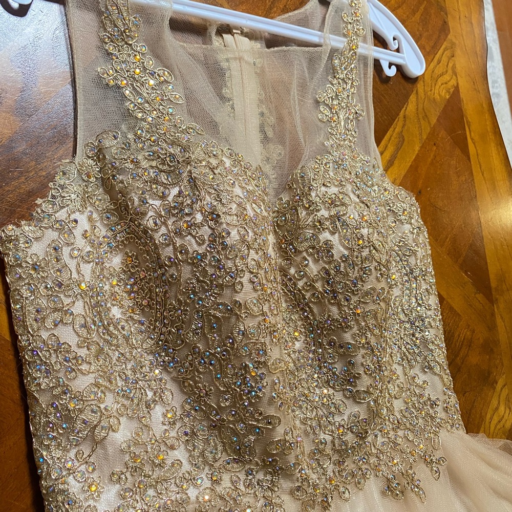Gold Sequence Dama Dress View 5